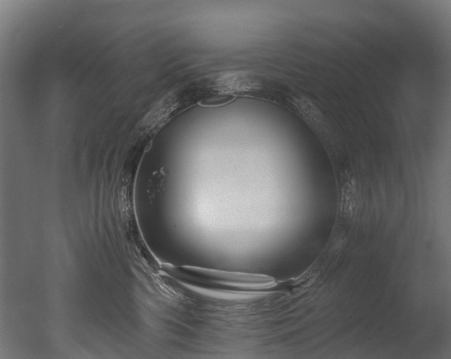 X0000050740426200506161532