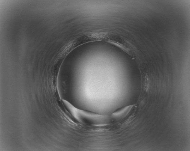 X0000050740428200506161532