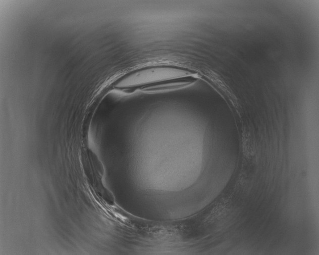 X0000050740434200506161531