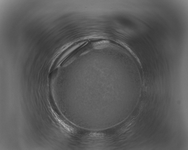 X0000050740437200506161531