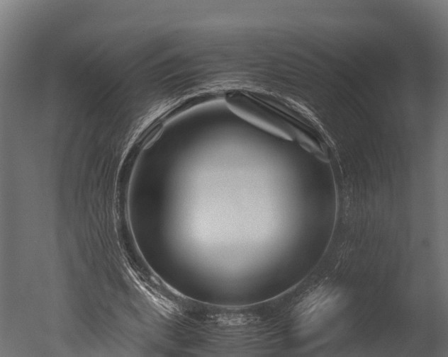 X0000050740439200506161531