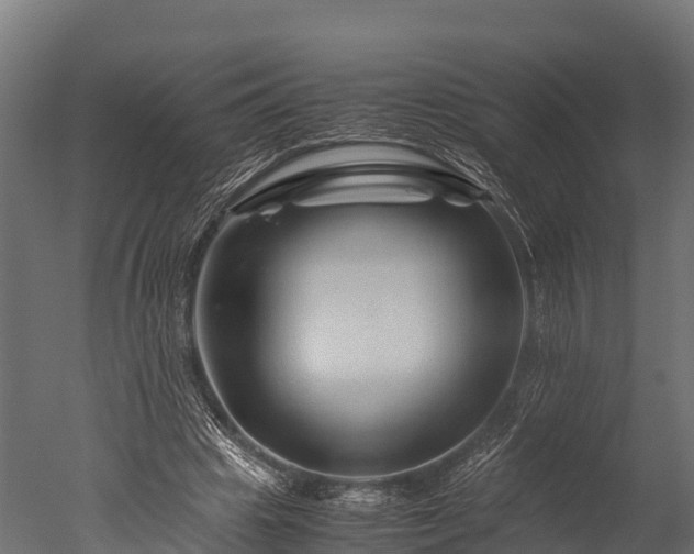 X0000050740441200506161531