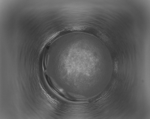 X0000050740444200506161531
