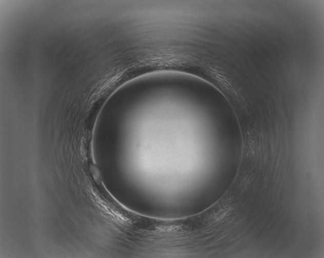 X0000050740450200506161531