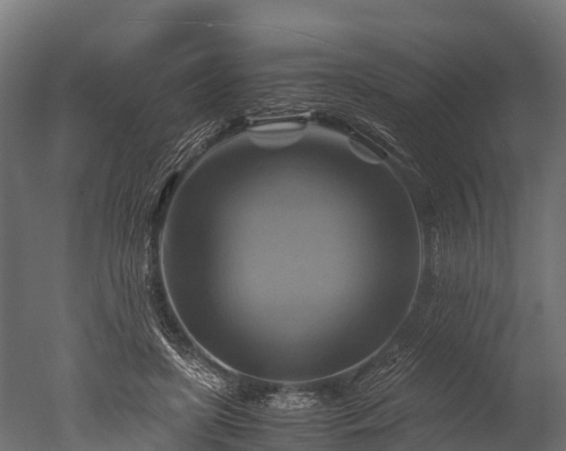 X0000050740451200506161531