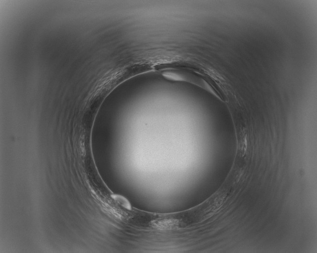 X0000050740452200506161531