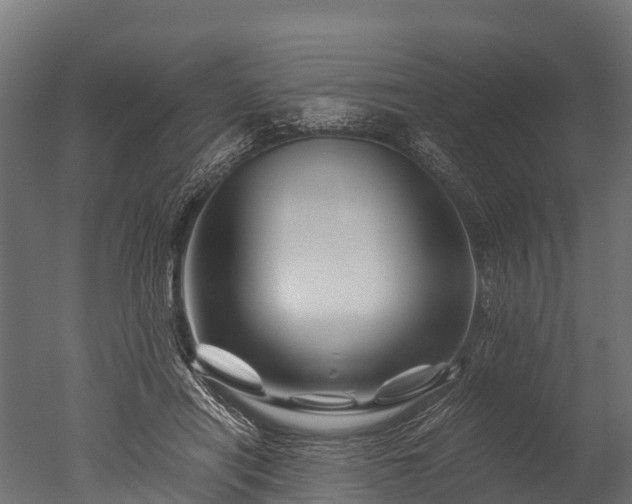 X0000050740454200506161531