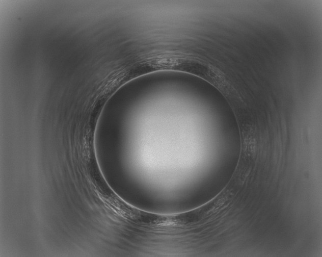 X0000050740460200506161531