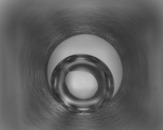 X0000050740461200506161531