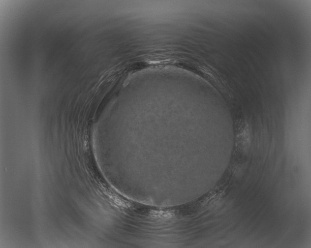 X0000050740469200506161532