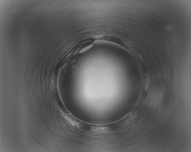 X0000050740476200506161532