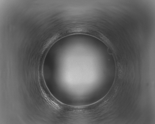 X0000050740482200506161531