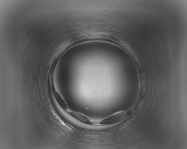 X0000050740485200506161531