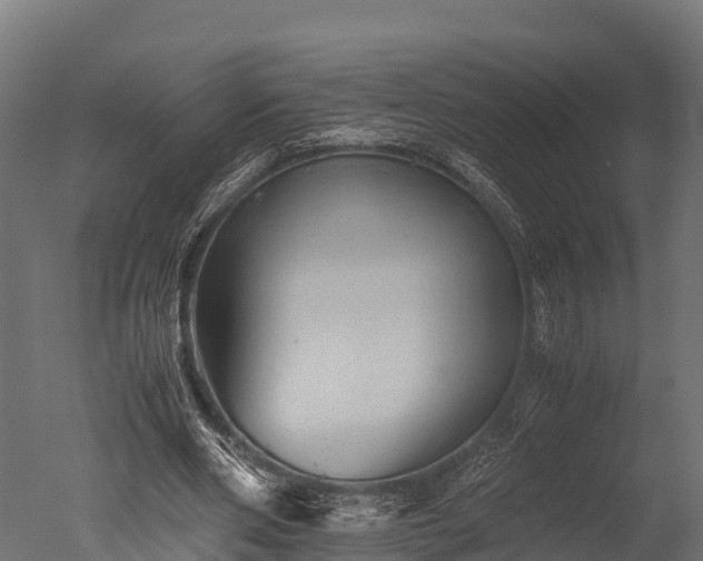 X0000050740486200506161531