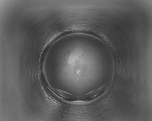 X0000050740488200506161531
