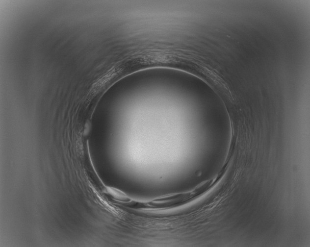 X0000050740489200506161531