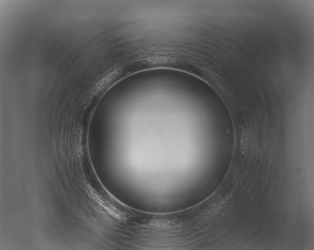 X0000050740490200506161531