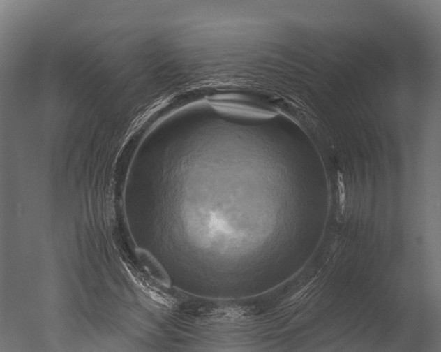 X0000050740492200506161531