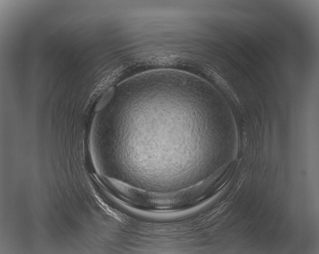 X0000050740493200506161531