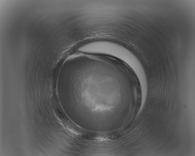 X0000050740496200506161531