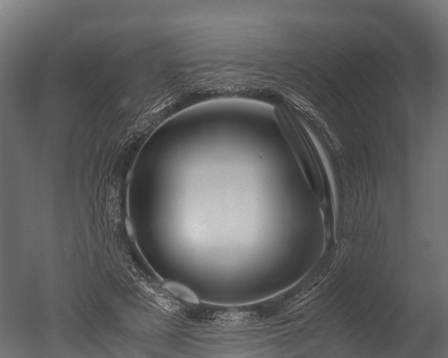 X0000050740497200506161531