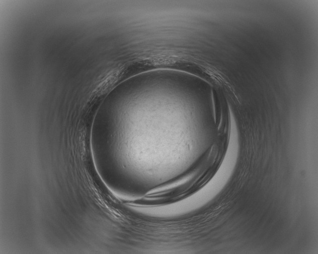 X0000050740501200506161531