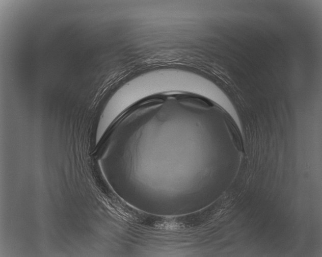 X0000050740503200506161531