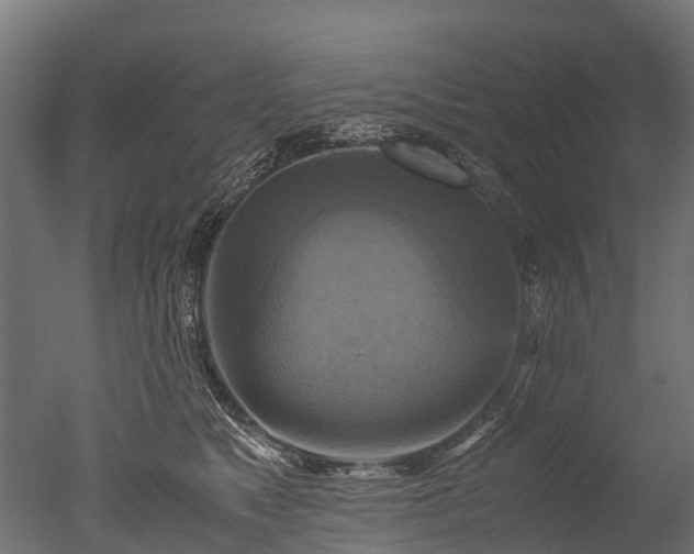 X0000050740517200506161530