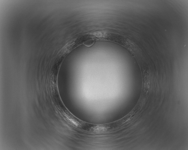 X0000050740518200506161530
