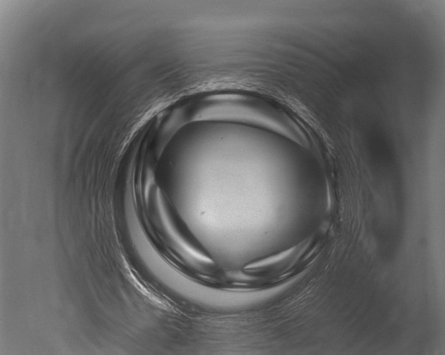 X0000050740530200506161529