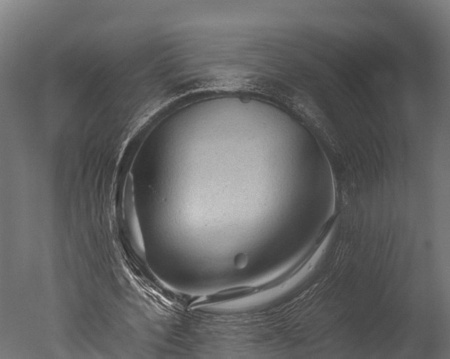 X0000050740532200506161529