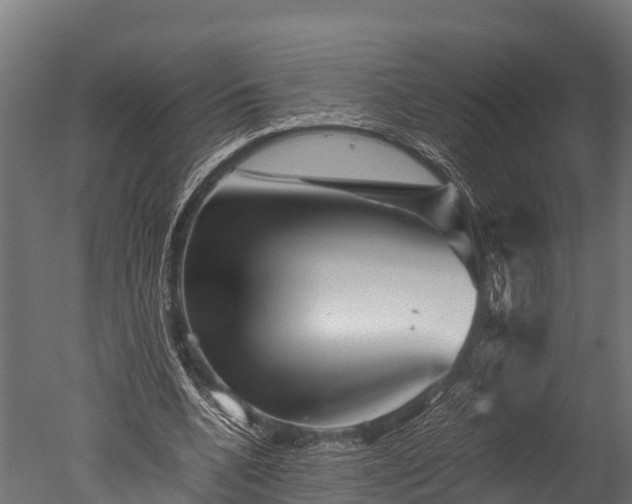X0000050740536200506161529