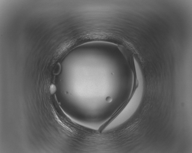 X0000050740538200506161529