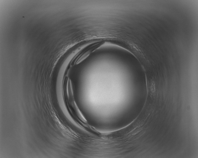 X0000050740540200506161530