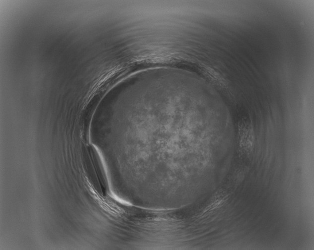 X0000050740542200506161530
