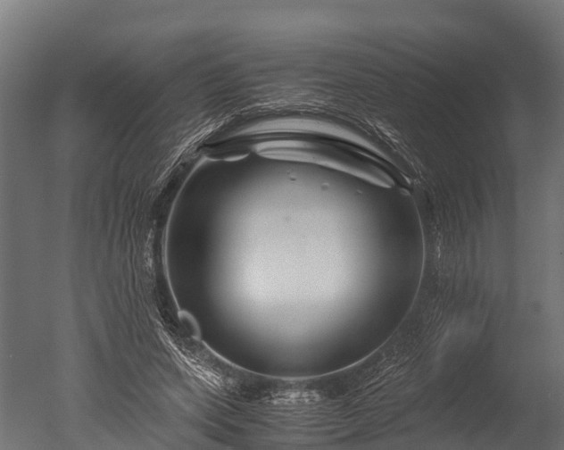 X0000050740543200506161530
