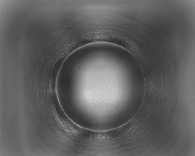 X0000050740546200506161530