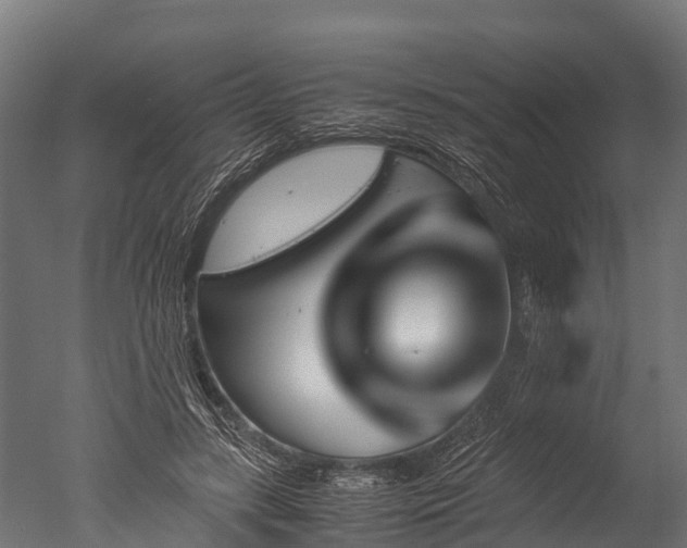 X0000050740547200506161530