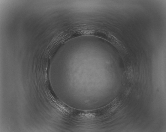 X0000050740553200506161530