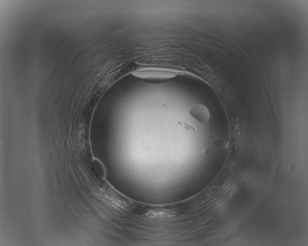 X0000050740557200506161530