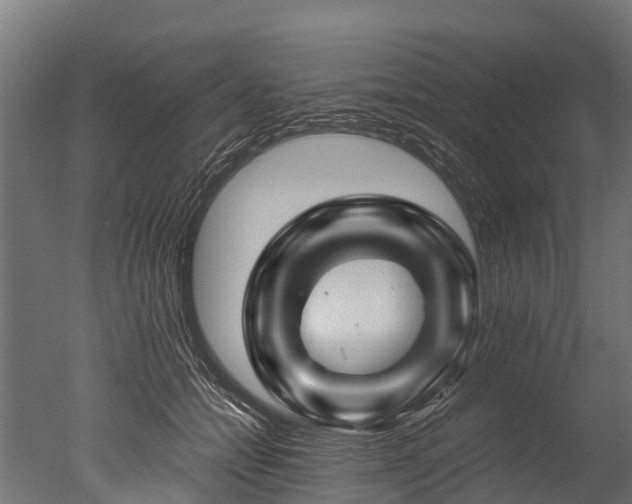 X0000050740558200506161530