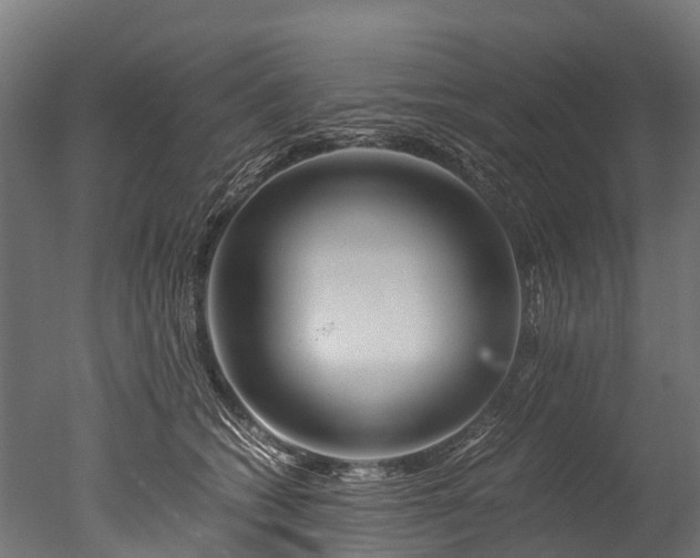 X0000050740562200506161530