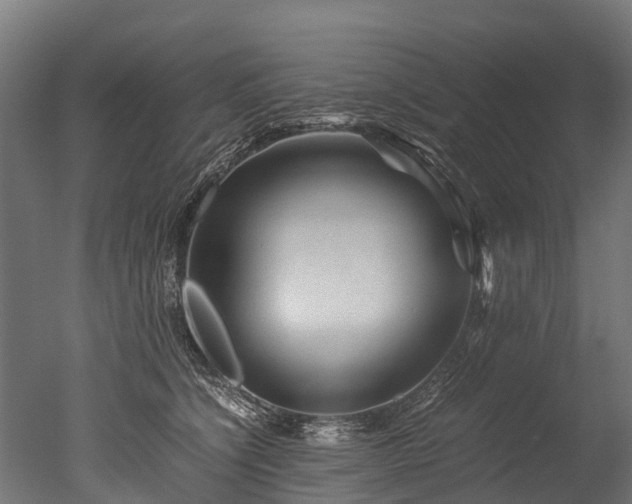 X0000050740564200506161530