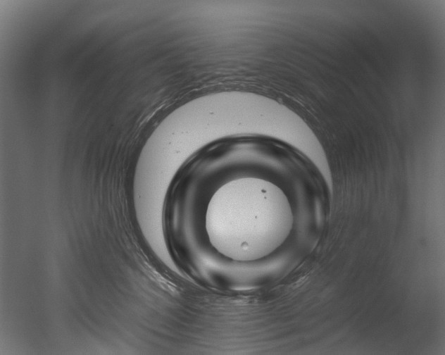 X0000050740572200506161530