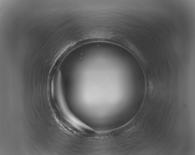X0000050740580200506161529