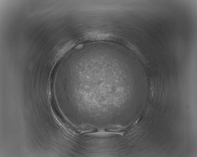X0000050740582200506161529
