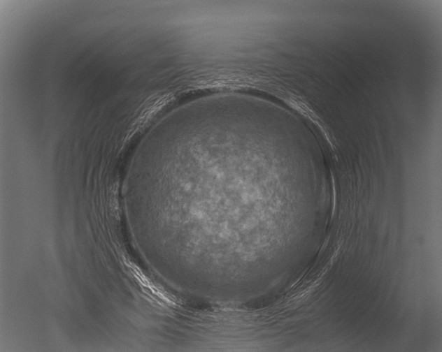 X0000050740585200506161529