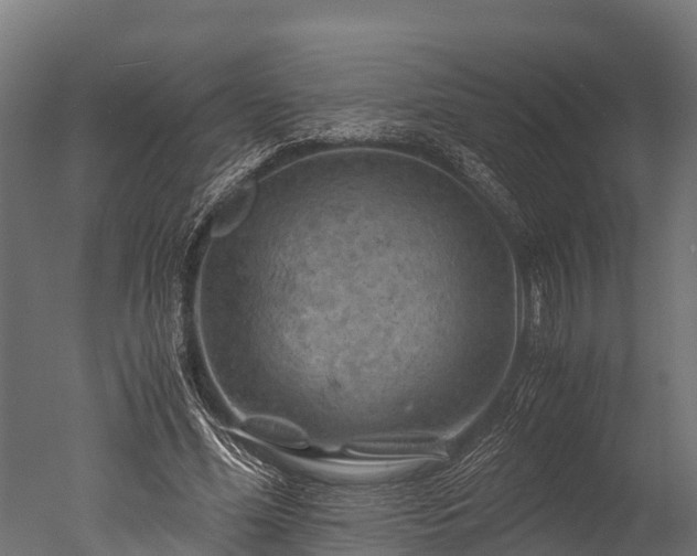 X0000050740588200506161529
