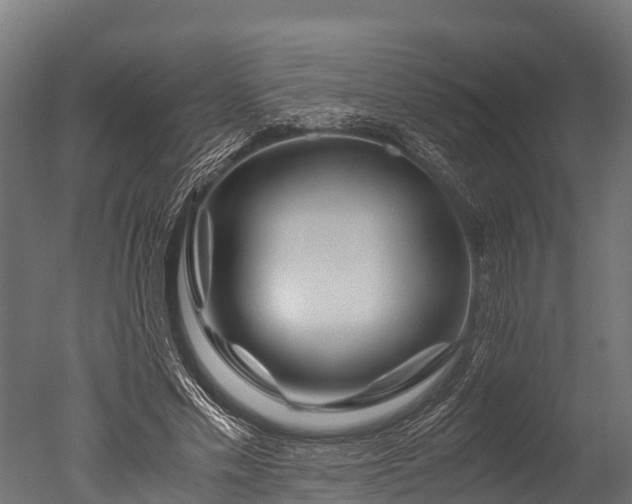 X0000050740589200506161529