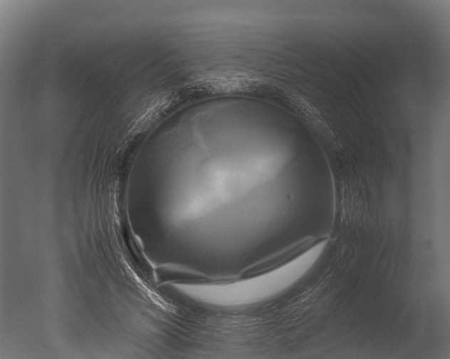 X0000050740590200506161529